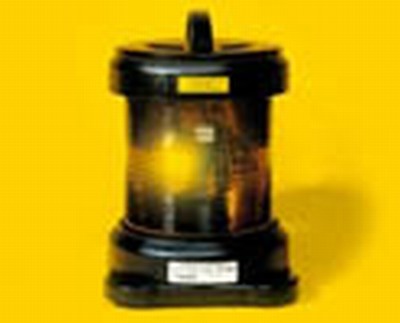 DHR70N TOPLANT. WIT HELD.ENKEL  STUK