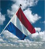 NEDERLANDSE VLAG    20 X 30 CM STUK