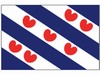 VLAG FRIESLAND      20 X 30 CM STUK