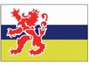 VLAG LIMBURG        20 X 30 CM STUK