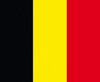 VLAG BELGIE        20 X 30 CM. STUK