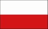 VLAG POLEN          70 X100 CM STUK