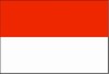 VLAG ROOD - WIT       70X100CM STUK